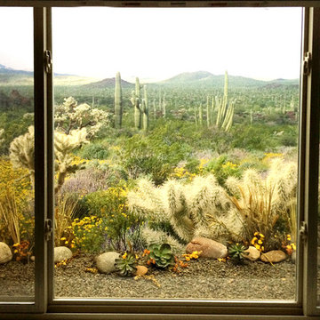 Desert Window Well Scene