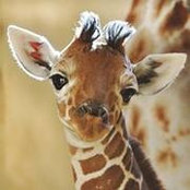 Jacqueline Paton-Boyle's photo