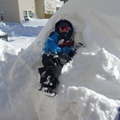 Shira Stein's photo
