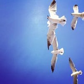 Natalie Ward's photo