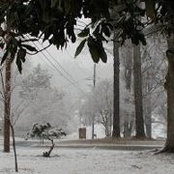 Can Nguyen's photo