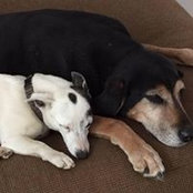 Jody Edgar's photo