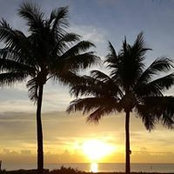 Katie Meeson's photo
