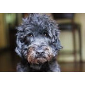 Anne Meeker's photo