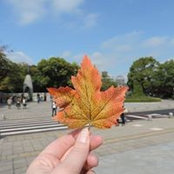 Tara T.'s photo