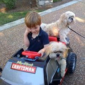 Trish Poe's photo