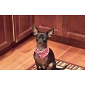 Melissa Murray's photo