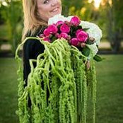Peggy Wiebe's photo