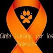 Carmen De Maya Cuenca's photo