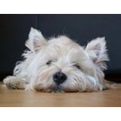 Connie Casali's photo