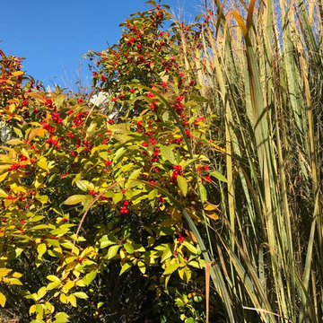 Waterfront Garden, Greenwich CT