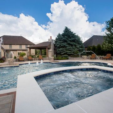 Elgin, IL Roman End Pool with Freeform Hot Tub