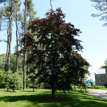 Lloyd Harbor 2