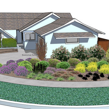 Rebate for Lawn Replaced with Drought Tolerant Planting