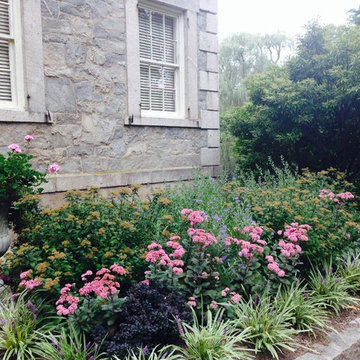 New London Museum foundation planting