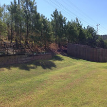 Backyard brainstorming