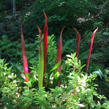 Glass Art Creates Woodland Focal Point