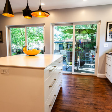 Project 2297-2 Northeast Minneapolis Modern 1st Floor Remodel + Addition
