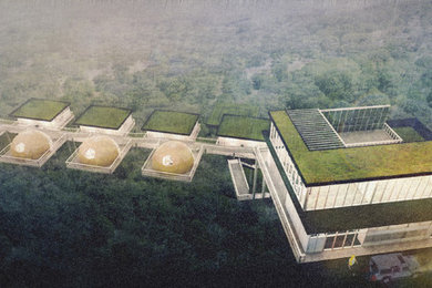 Ecological Forest Hotel