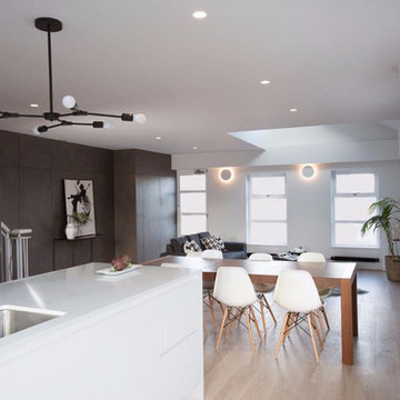 SHOREDITCH PENTHOUSE PROJECT - CONTEMPORARY PENTHOUSE