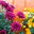 Meadows Landscaping of Savannah
