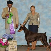 Deanne Reiser's photo