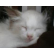 Dawn Wingard's photo