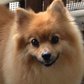 Patrick Toth's photo