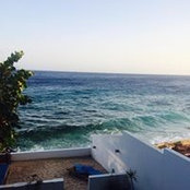 Billie Hoffman's photo