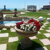 Shams Selim's photo