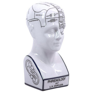 Authentic Models PHRENOLOGY HEAD MG020 Desktop Accessory 