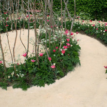 Labyrinth