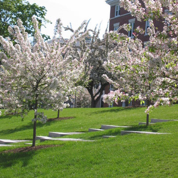 Lawns + Gardens