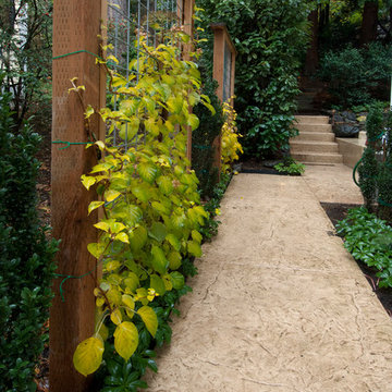 Kirkland Modern - 2011
