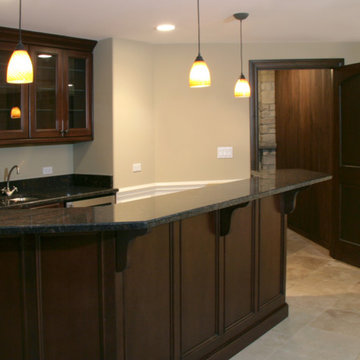 New Construction - Glenview IL