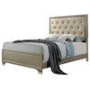 Acme Carine Queen Bed, Champagne