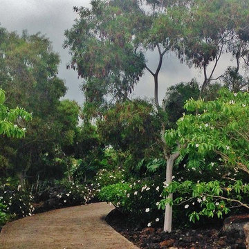 Hawaii Island Landscaping