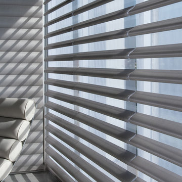 Window Sheers and Shadings