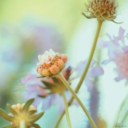 Art for your home - Artwork