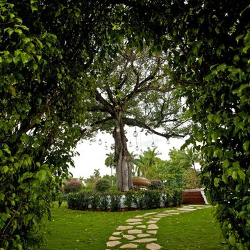 Miami Beach "Tree of Life"