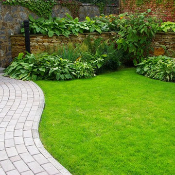 Shade Garden