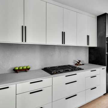Minimalistic Kitchen Remodel In Near North (Chicago, IL)