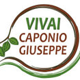 Foto di profilo di Vivai Caponio Giuseppe soc. agr. S.r.l.