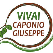 Foto di Vivai Caponio Giuseppe soc. agr. S.r.l.