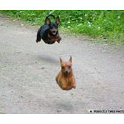 Foto de Deirdre Macken
