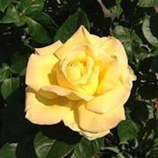 Debbie Wilson's photo