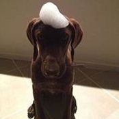 Susan Grayson's photo