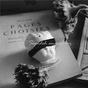 Sepideh Anjomrooz's photo