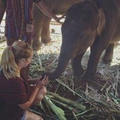 Foto von Pippa Carey