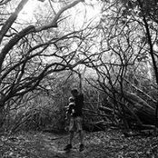 T V's photo